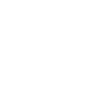 Logotipo de ARAN HOMES