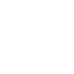 Logotyp för CarlingPetri