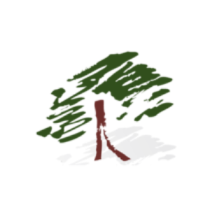 Logotipo de PALISANDRO CONSULTING Y GESTION S.L